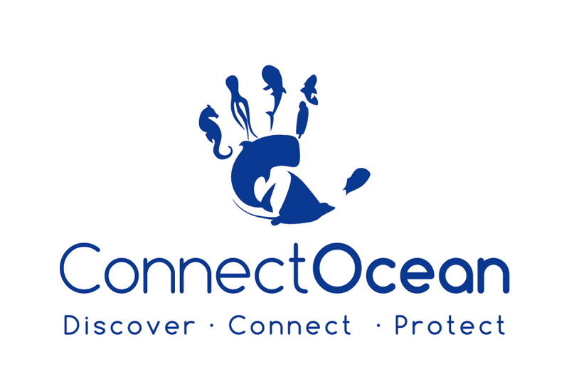 Logo ConnectOcean