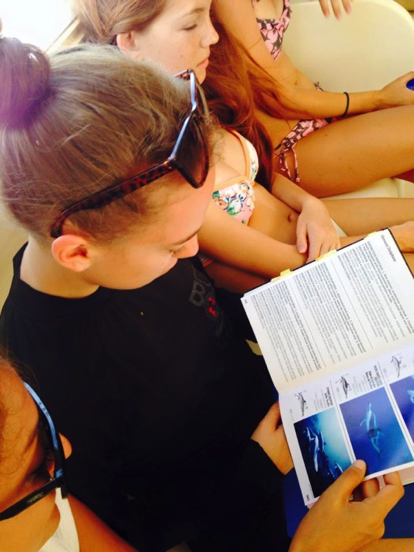 connectocean education ocean explorer course program week summer camp marine life school students citizen science