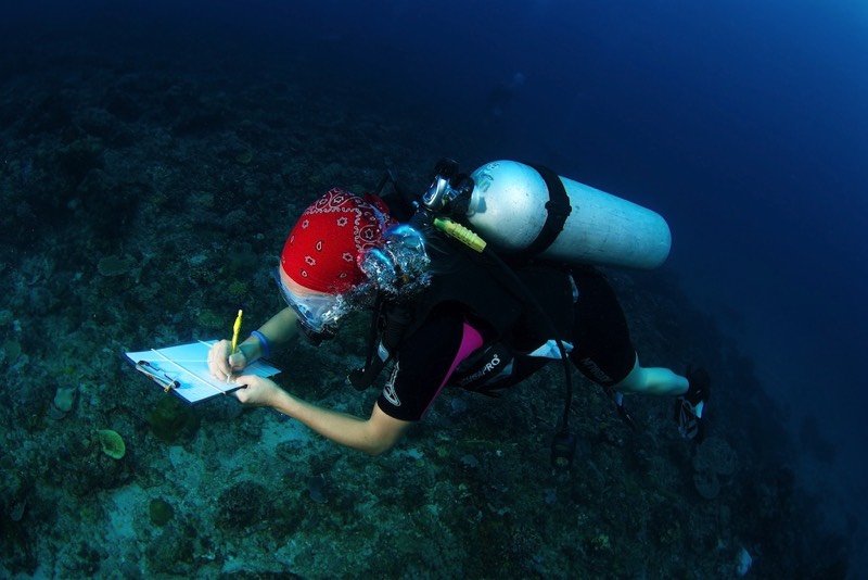 connectocean citizen science reef monitoring